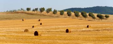 Ferieboliger i San Lorenzo a Merse