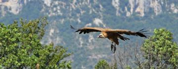 Chanac şehrindeki otoparklar