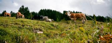 Hótel með bílastæði í Langenegg