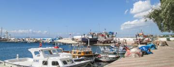 Hotels with Parking in Şarköy