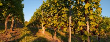 Parkimisega hotellid sihtkohas Saint-Ouen-les-Vignes