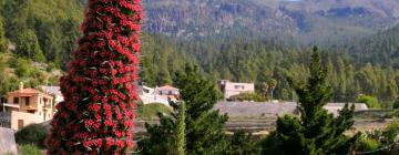 Cabañas y casas de campo en Vilaflor