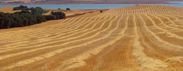 Alquileres temporarios en Nambroca