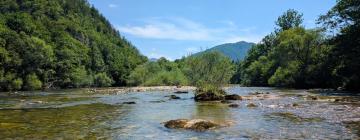 Hotely s parkováním v destinaci Turke