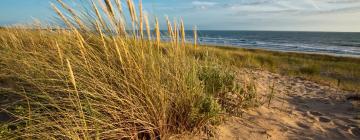 Huvilat kohteessa Brétignolles-sur-Mer