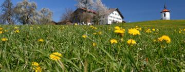 Hotels in Bad Grönenbach