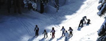 Hoteles con jacuzzi en Big White