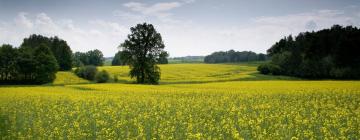 Hotely s parkováním v destinaci Cedynia