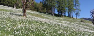 Hoteles con parking en Planina pod Golico