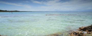 Ferieboliger ved stranden i Currarong