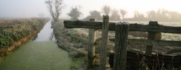 Holiday Homes in Hatch Beauchamp