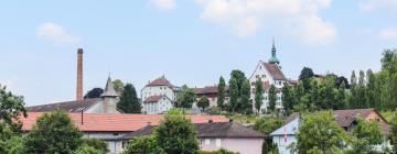 Viešbučiai su vietomis automobiliams mieste Bišofscelis