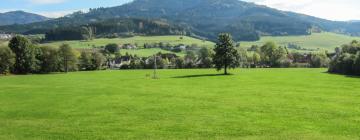 Hoteles con estacionamiento en Winden im Elztal