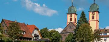 Hotels in Buchenbach