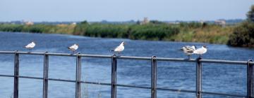 Hotell med parkering i Lido di Volano