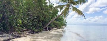 Hoteles de playa en Grand-Bourg