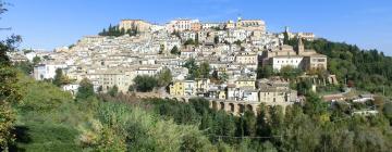 Holiday Rentals in Penne