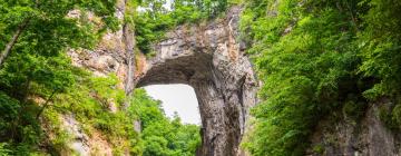 Hoteles que aceptan mascotas en Natural Bridge