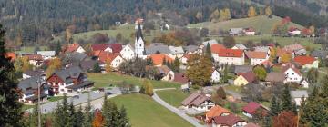 Hotels met Parkeren in Ribnica na Pohorju