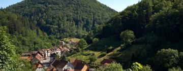 Hotels with Parking in Lautenthal
