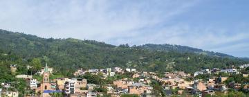 Cabañas y casas de campo en Silvania