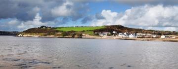 Cottages in Arthurstown