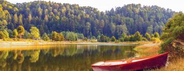 Parkolóval rendelkező hotelek Los Azufresben