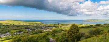 Cottages in Dinas