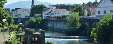 Günstiger Urlaub in Mauléon-Licharre