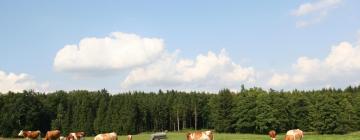 Hotels met Parkeren in Großhartpenning