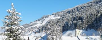 Ski Resorts in Kelchsau