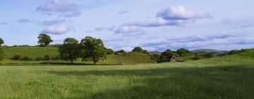 Cabanes i cottages a Llanddeiniolen