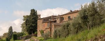 Hoteles que admiten mascotas en Monte Benichi