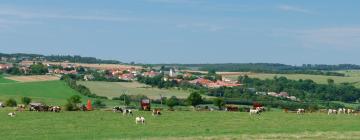 Hotely s parkováním v destinaci Féy