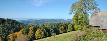 Appartementen in Saig