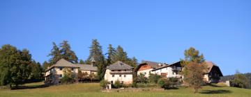 Hotels in Silandro