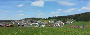 Family Hotels in Neukirch