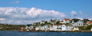 Hoteles que admiten mascotas en Tvedestrand