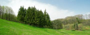 Hotel dengan parkir di Oborniki Śląskie