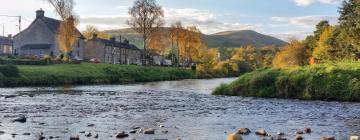 Pet-Friendly Hotels in Langholm