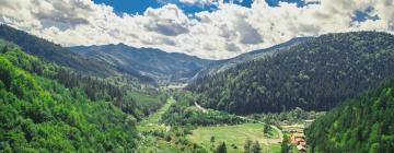 Casas de Hóspedes em Bicaz