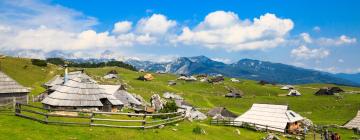 Family Hotels in Stahovica