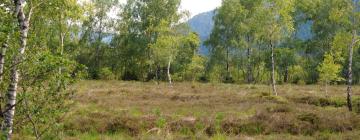 Parkolóval rendelkező hotelek Grassauban