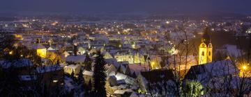 Hotellid sihtkohas Schwandorf in Bayern