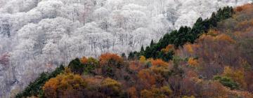 Allotjaments amb onsen a Miyoshi