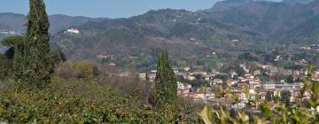 Holiday Rentals in Ponte a Moriano