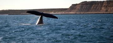 Hoteller i Puerto Madryn