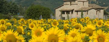 Hotel con parcheggio a San Vitale