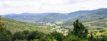 Pet-Friendly Hotels in Mercatale