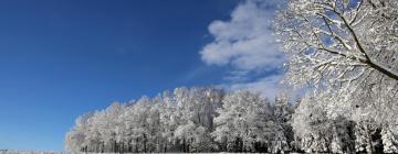 Ski Resorts in Geising